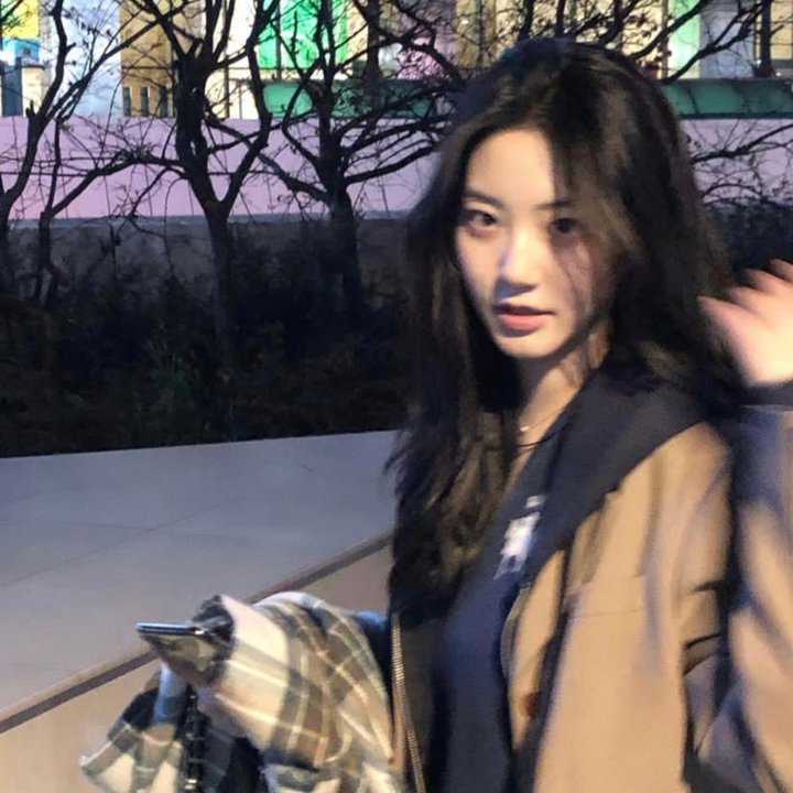 明月守护者